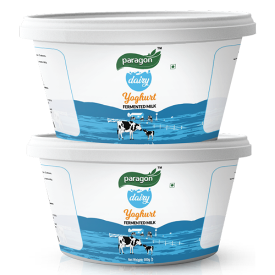Picture of Paragon Yoghurt 500g (2 PCS Combo)