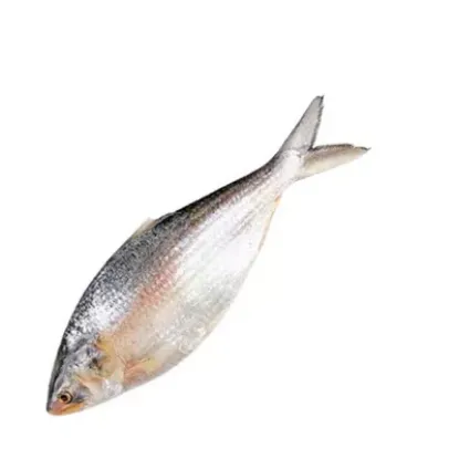 Picture of Hilsha Fish (Frozen) test