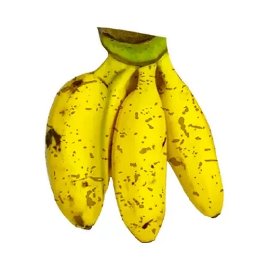 Picture of Bananas test