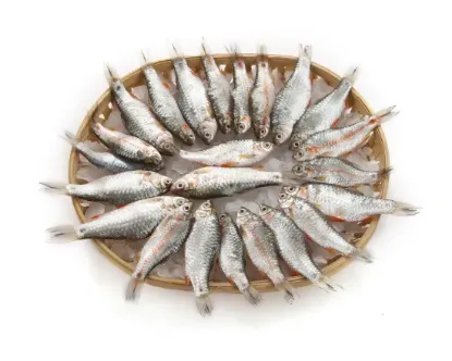 Picture of Puti Fresh Local Cultured test