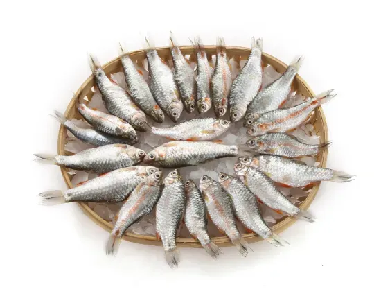 Picture of Puti Fresh Local Cultured test